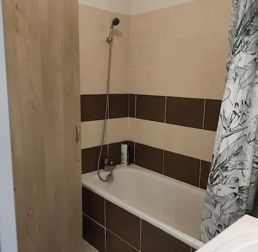 L'envol - 80 M2 - 40 M2 Balcon - 2 Parkings Prives * Toulouse