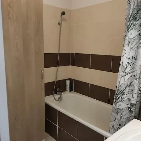 L'envol - 80 M2 - 40 M2 Balcon - 2 Parkings Prives * Toulouse